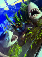 Ferrum Noctis Mars in Capricorn Talismanic Materia Shark 2