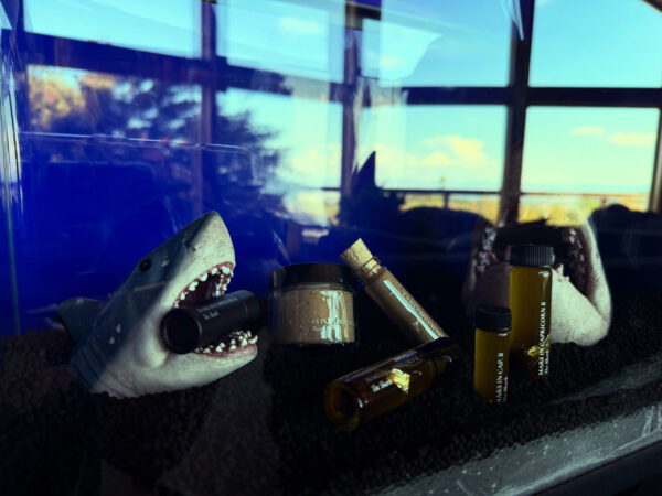 Ferrum Noctis Mars in Capricorn Talismanic Materia Shark 3 Ferrum Noctis Mars in Capricorn Talismanic Materia Shark 3