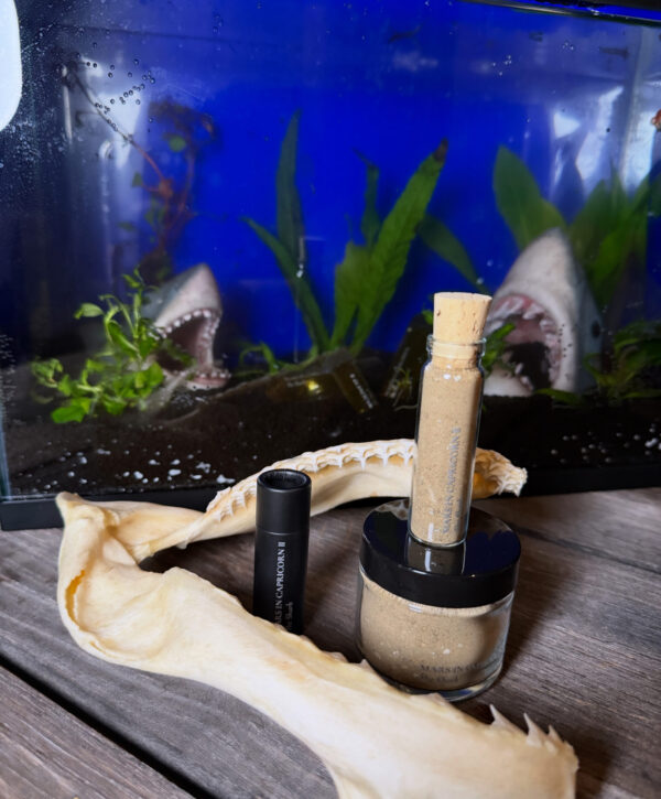 Ferrum Noctis Mars in Capricorn Talismanic Materia Shark Again 2 Ferrum Noctis Mars in Capricorn Talismanic Materia Shark Again 2