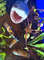 Ferrum Noctis Mars in Capricorn Talismanic Materia Shark Anointing Oil