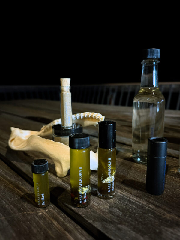 Ferrum Noctis Mars in Capricorn Talismanic Materia Shark Anointing Oils Incense Powder Ferrum Noctis Mars in Capricorn Talismanic Materia Shark Anointing Oils Incense Powder