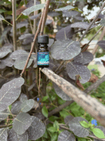 Screenshot 2025-09-11 at 10.38.59 AM