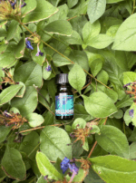 Screenshot 2025-09-11 at 10.39.10 AM