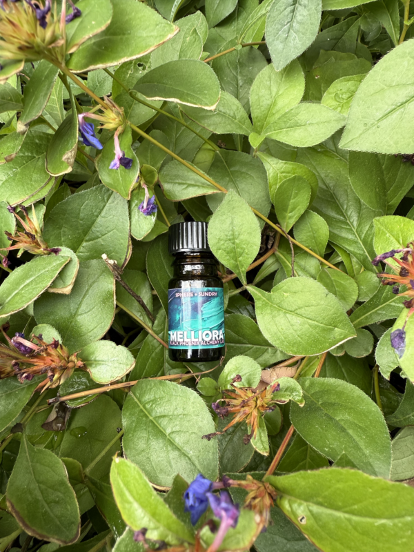 Screenshot 2025-09-11 at 10.39.10 AM Screenshot 2025-09-11 at 10.39.10 AM