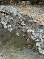 Screenshot 2025-09-11 at 12.57.35 PM