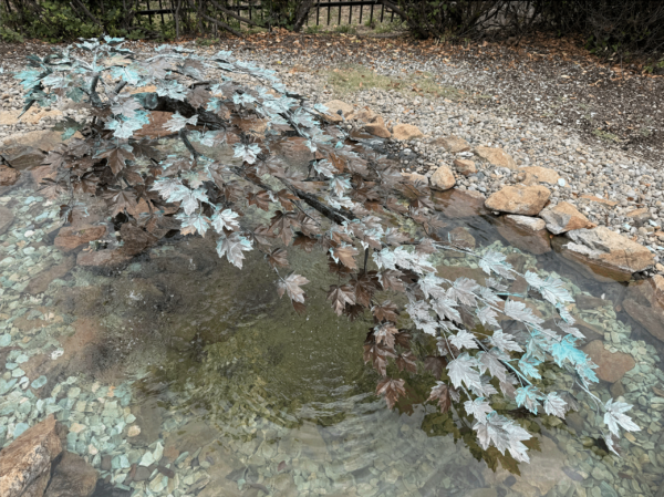 Screenshot 2025-09-11 at 12.57.35 PM