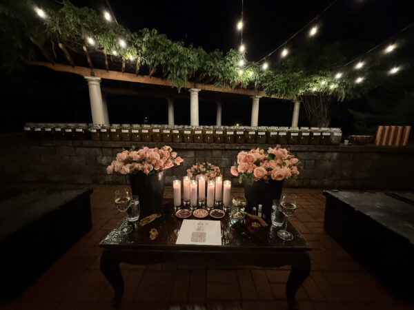 Venus in Taurus Talismanic Materia Altar Main Wide Far Venus in Taurus Talismanic Materia Altar Main Wide Far