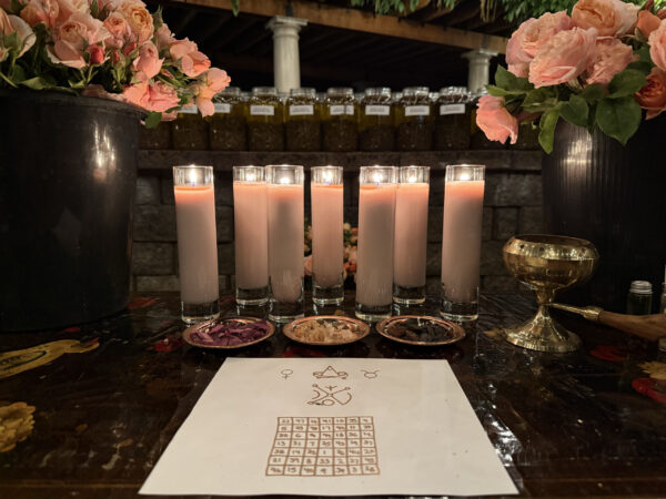 Venus in Taurus Talismanic Materia Altar Straight Ahead Main Wide Venus in Taurus Talismanic Materia Altar Straight Ahead Main Wide