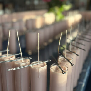 Venus' Earthly Delights Candles