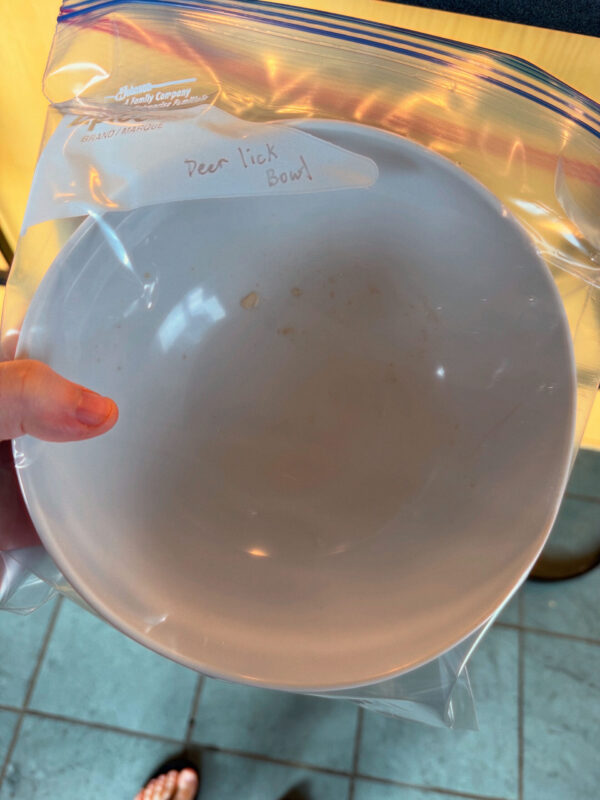 Venus in Taurus Talismanic Materia Deer Lick Bowl Friendship Platonic Love Venus in Taurus Talismanic Materia Deer Lick Bowl Friendship Platonic Love