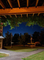 Venus in Taurus Talismanic Materia Venus Morning Star