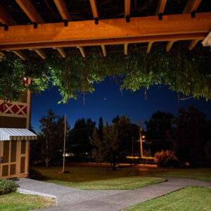 Venus' Earthly Delights Ritual Salts