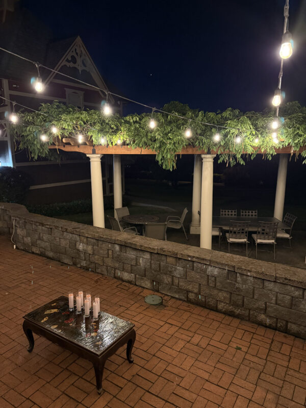 Venus in Taurus Talismanic Materia Venus Morning Star 2 Venus in Taurus Talismanic Materia Venus Morning Star 2