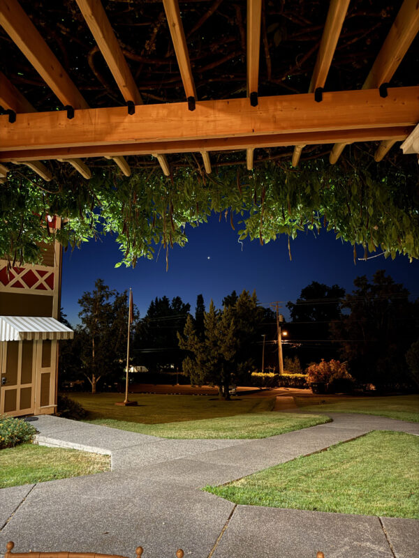 Venus in Taurus Talismanic Materia Venus Morning Star Main High Venus in Taurus Talismanic Materia Venus Morning Star Main High