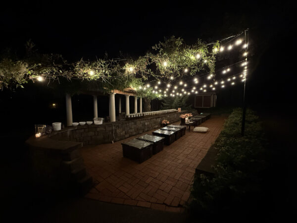 Venus in Taurus Talismanic Materia Wide Creation Main Venus in Taurus Talismanic Materia Wide Creation Main