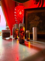 Venus in Taurus Earthly Delights Talismanic Materia Amatoria