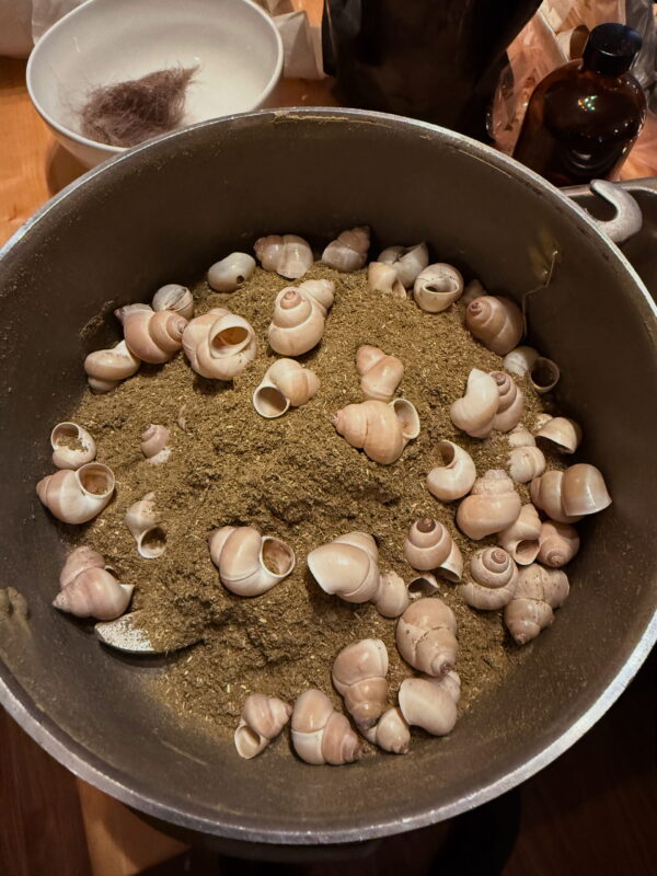 Venus in Taurus Earthly Delights Talismanic Materia Friendship Incense Powder Venus in Taurus Earthly Delights Talismanic Materia Friendship Incense Powder