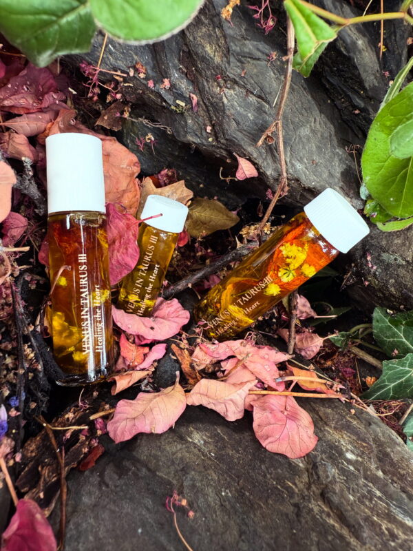 Venus in Taurus Earthly Delights Talismanic Materia Healing the Heart Anointing Oils Venus in Taurus Earthly Delights Talismanic Materia Healing the Heart Anointing Oils