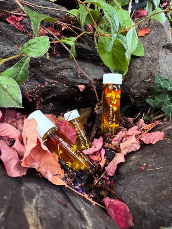 Venus in Taurus Earthly Delights Talismanic Materia Healing the Heart