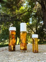 Venus in Taurus Earthly Delights Talismanic Materia Main Anointing Oil