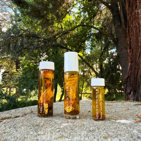 Venus in Taurus Earthly Delights Talismanic Materia Main Anointing Oil Venus in Taurus Earthly Delights Talismanic Materia Main Anointing Oil
