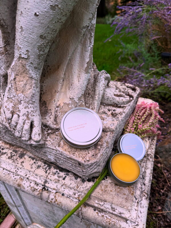 Venus in Taurus Earthly Delights Talismanic Materia Salve Venus in Taurus Earthly Delights Talismanic Materia Salve