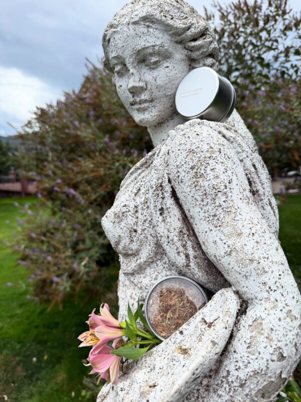 Venus in Taurus Earthly Delights Talismanic Materia Steep and Smoke Large Venus in Taurus Earthly Delights Talismanic Materia Steep and Smoke Large