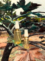 Venus in Taurus Earthly Delights Talismanic Materia Water