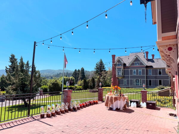 Leo III Third Decan of Leo Altarscape Down Flag Leo III Third Decan of Leo Altarscape Down Flag