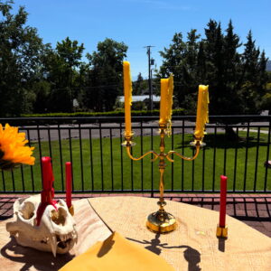 Third Decan of Leo Bath Salts