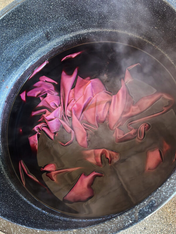 Leo III Third Decan of Leo Dying Flag 2 Leo III Third Decan of Leo Dying Flag 2