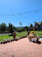 Leo III Third Decan of Leo Flag Flying Wider