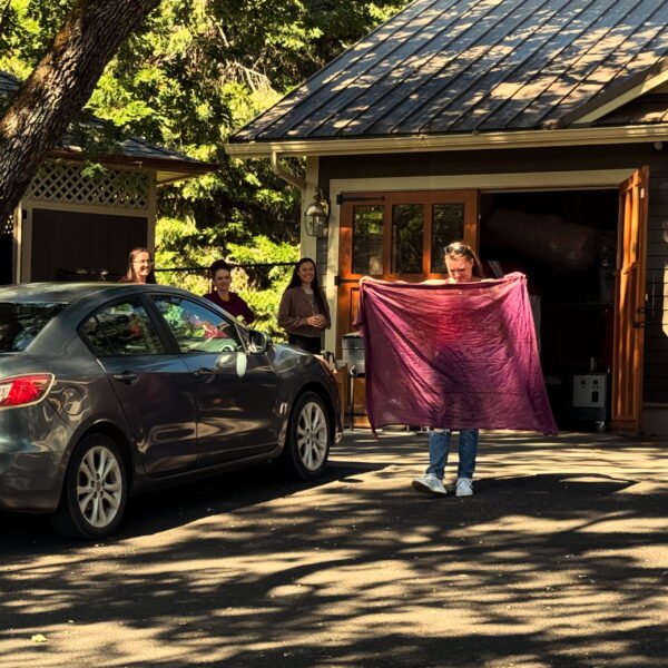 Leo III Third Decan of Leo Flag Freshly Dyed Leo III Third Decan of Leo Flag Freshly Dyed