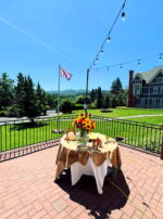 Leo III Third Decan of Leo Flying Flag Main Wide