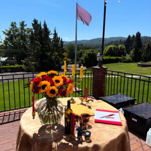 Leo III Third Decan of Leo Flying Flag Up Close