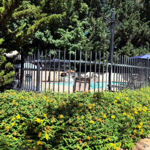 Leo III Third Decan of Leo Water Kolonia