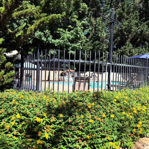 Leo III Third Decan of Leo Water Kolonia