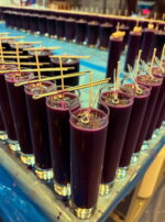 ADC8EB17-7F96-4F2A-AD2C-F6F619591790