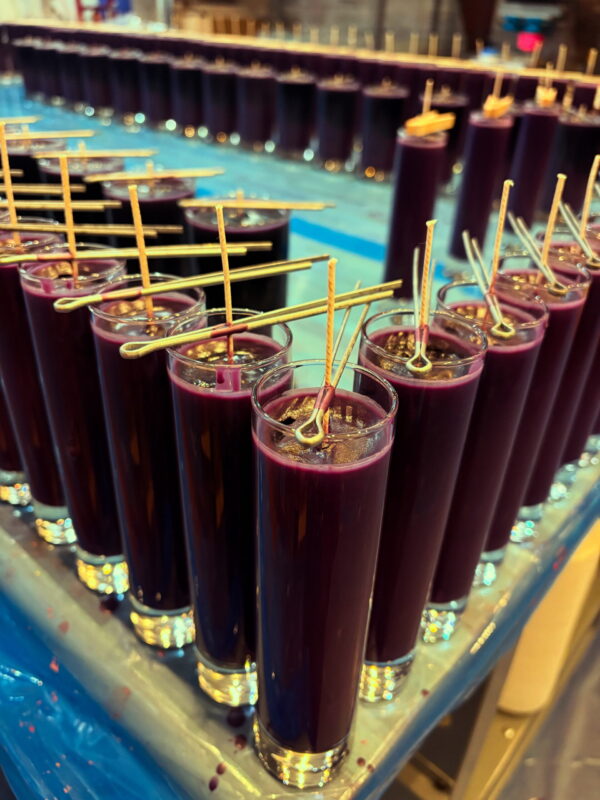 ADC8EB17-7F96-4F2A-AD2C-F6F619591790