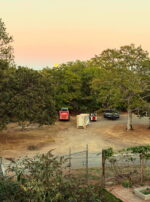 Exalted Jupiter in Cancer Talismanic Materia Generator 2