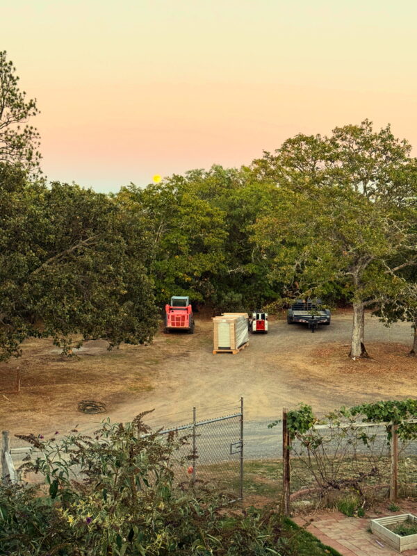 Exalted Jupiter in Cancer Talismanic Materia Generator 2 Exalted Jupiter in Cancer Talismanic Materia Generator 2