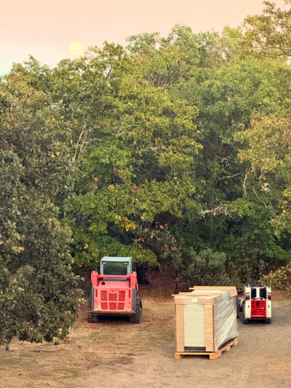 Exalted Jupiter in Cancer Talismanic Materia Generator Exalted Jupiter in Cancer Talismanic Materia Generator