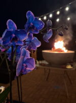 Exalted Jupiter in Cancer Talismanic Materia flowers and fire wide