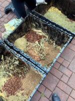 Exalted Jupiter in Cancer Talismanic Materia mixing herbs powder