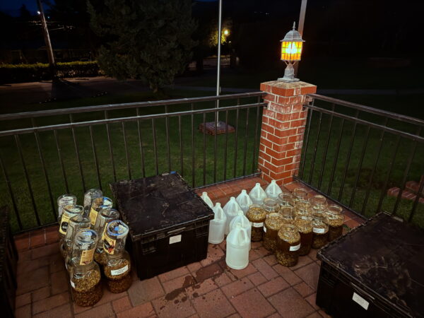 Exalted Jupiter in Cancer Talismanic Materia tinctures oils Exalted Jupiter in Cancer Talismanic Materia tinctures oils