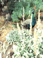 Screenshot 2025-12-06 at 9.15.58 PM