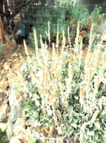 Screenshot 2025-12-06 at 9.16.08 PM