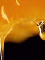 motion-array-2386853-A5o9ut3rga-high_0005