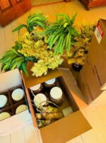 0DD25B45-56D7-4BBC-B0A4-AA19DA892294_1_105_c