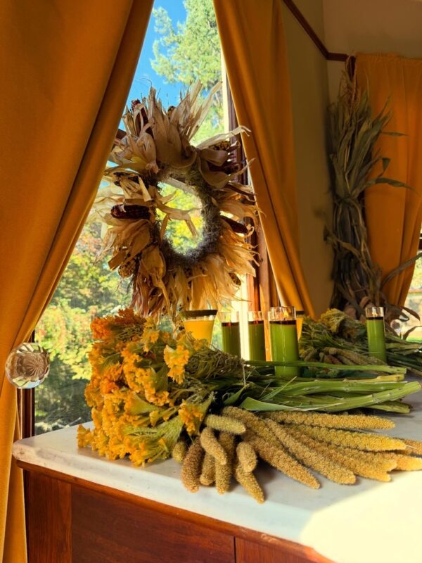 2BF2D5CB-803B-4AD1-868B-E67D2B31EB56_1_105_c